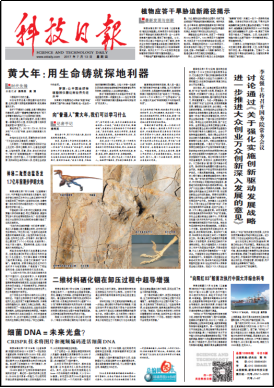 Stake(�й���)�ٷ���վ